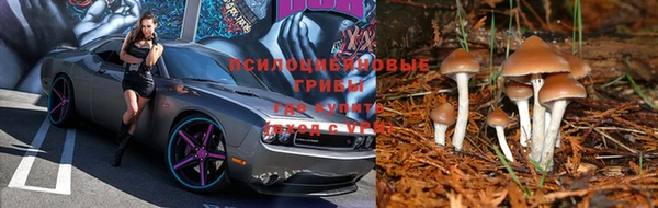 меф Баксан
