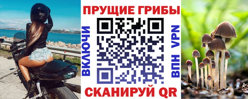 Псилоцибиновые грибы ЛСД  OMG ссылка  Буинск 